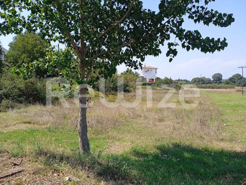 Photo 21,Τοπίο,ΠΏΛΗΣΗ,Γη,Αγροτεμάχιο,3960τ.μ,€100,000,Κασσάνδρεια