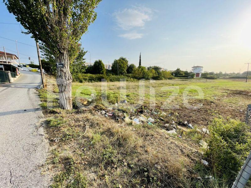 Photo 10,Τοπίο,ΠΏΛΗΣΗ,Γη,Αγροτεμάχιο,3960τ.μ,€100,000,Κασσάνδρεια