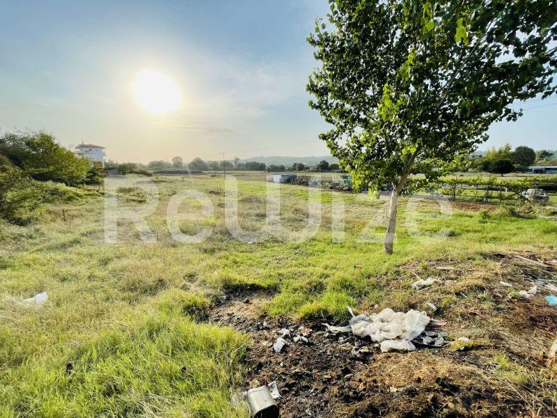 Photo 1,Τοπίο,ΠΏΛΗΣΗ,Γη,Αγροτεμάχιο,3960τ.μ,€100,000,Κασσάνδρεια
