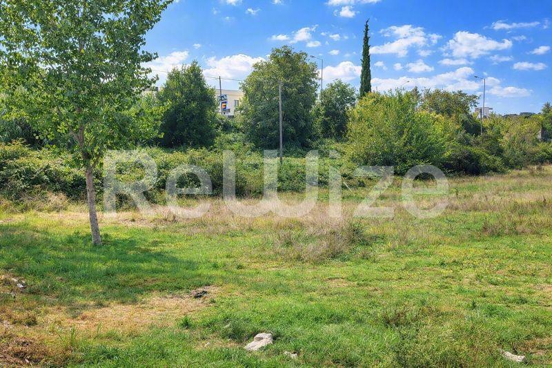 Αγροτεμάχιο 3960 τ.μ. στην Κασσάνδρα, φωτογραφία 10