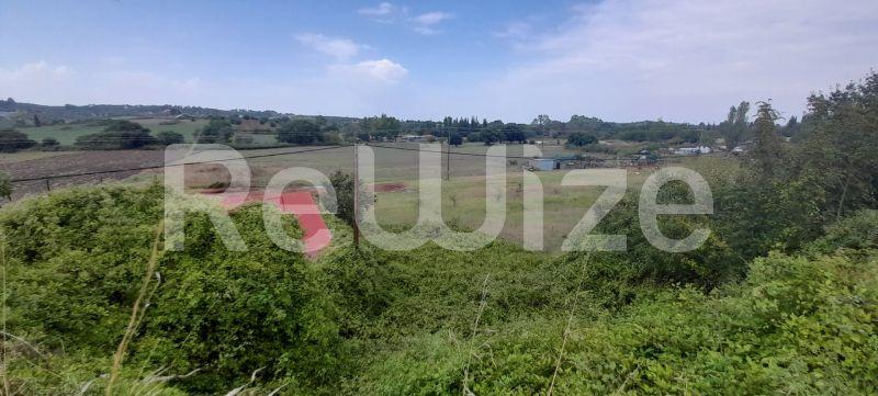 Photo 4,Τοπίο,ΠΏΛΗΣΗ,Γη,Αγροτεμάχιο,3960τ.μ,€100,000,Κασσάνδρεια