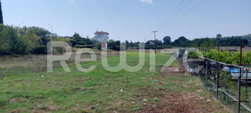 Photo 5,Τοπίο,ΠΏΛΗΣΗ,Γη,Αγροτεμάχιο,3960τ.μ,€100,000,Κασσάνδρεια