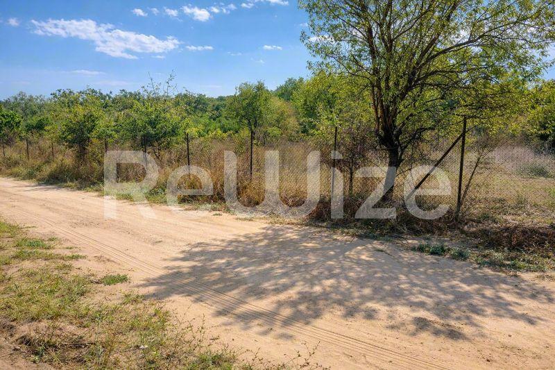 Field 1262 m² in Aristotelis, photo 4