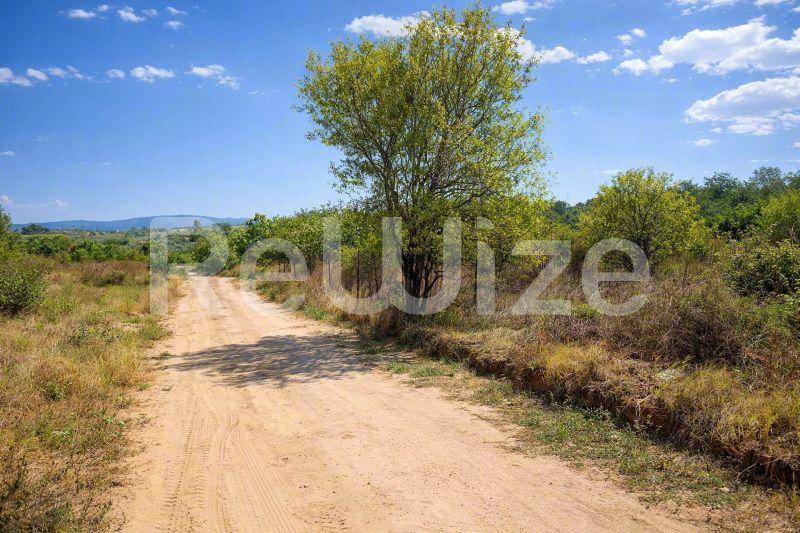 Field 1262 m² in Aristotelis, photo 1