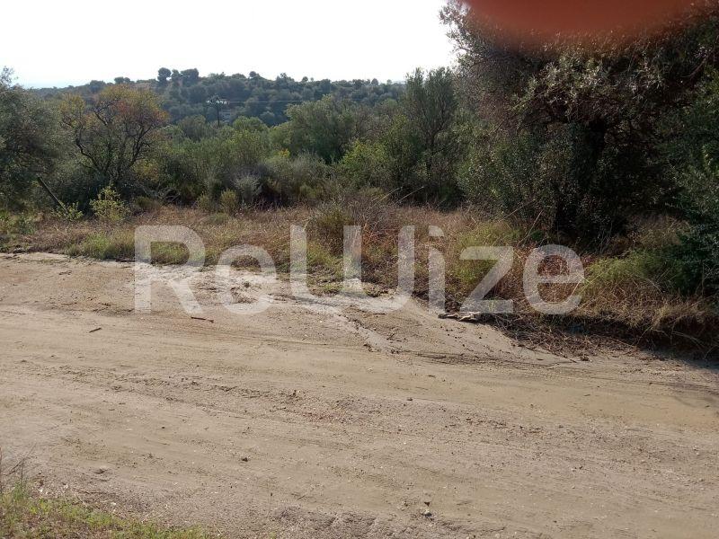 Photo 4,Landscape,SALE,Land,Field,2510sqm,€90,000,Ammouliani