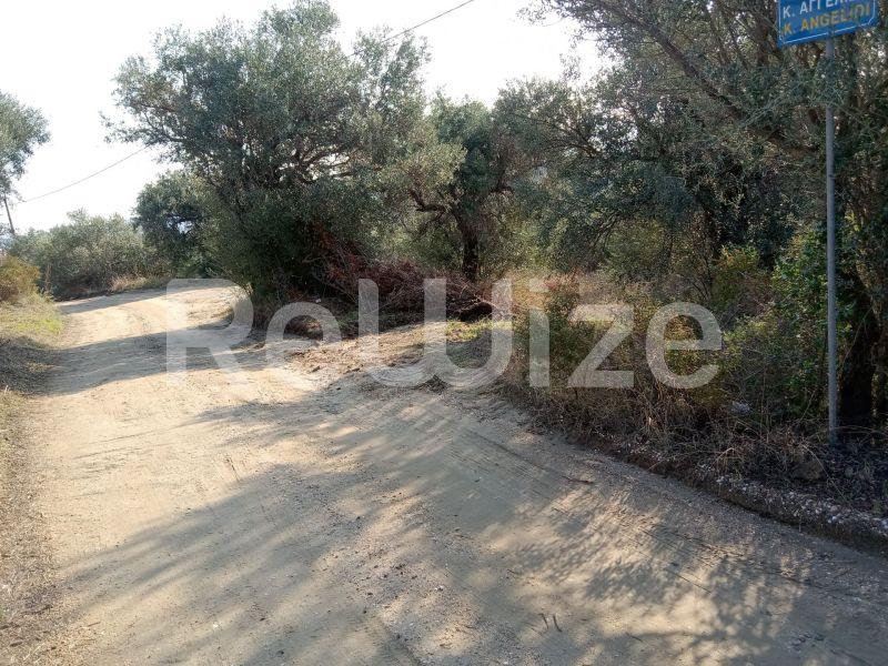 Photo 2,Landscape,SALE,Land,Field,2510sqm,€90,000,Ammouliani