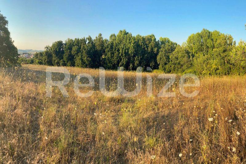 Photo 2,Εξωτερική,ΠΏΛΗΣΗ,Γη,Αγροτεμάχιο,6160τ.μ,€100,000,Κασσάνδρεια