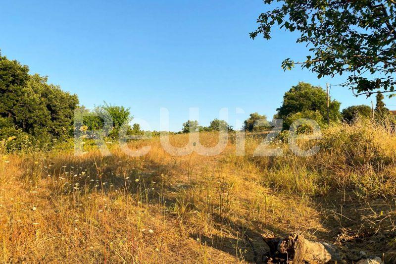 Photo 3,Εξωτερική,ΠΏΛΗΣΗ,Γη,Αγροτεμάχιο,6160τ.μ,€100,000,Κασσάνδρεια