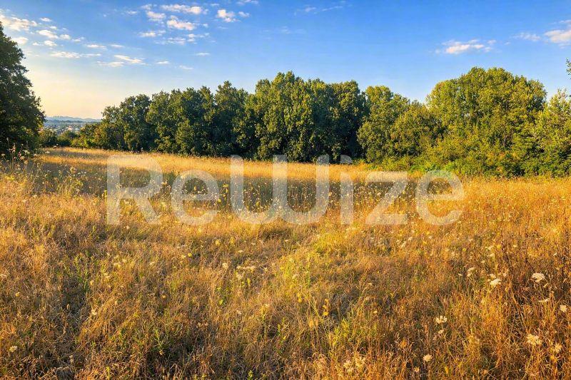 Field 6160 m² in Kassandra, photo 4