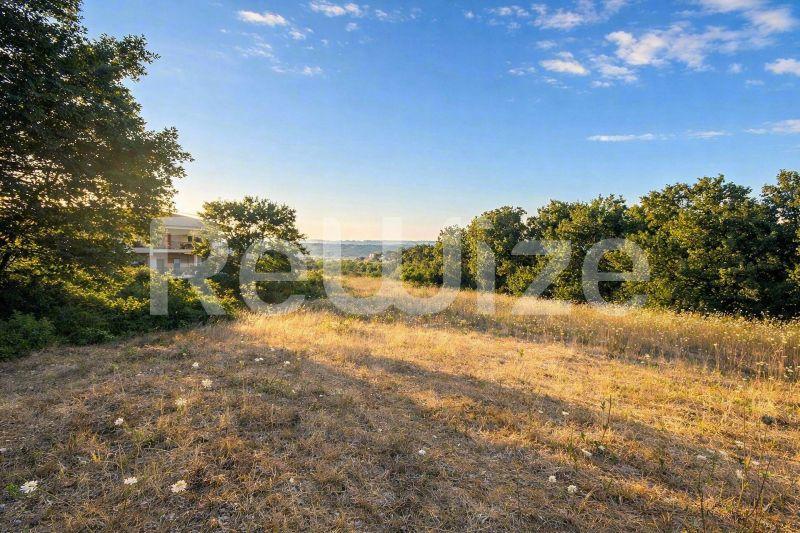 Field 6160 m² in Kassandra, photo 5