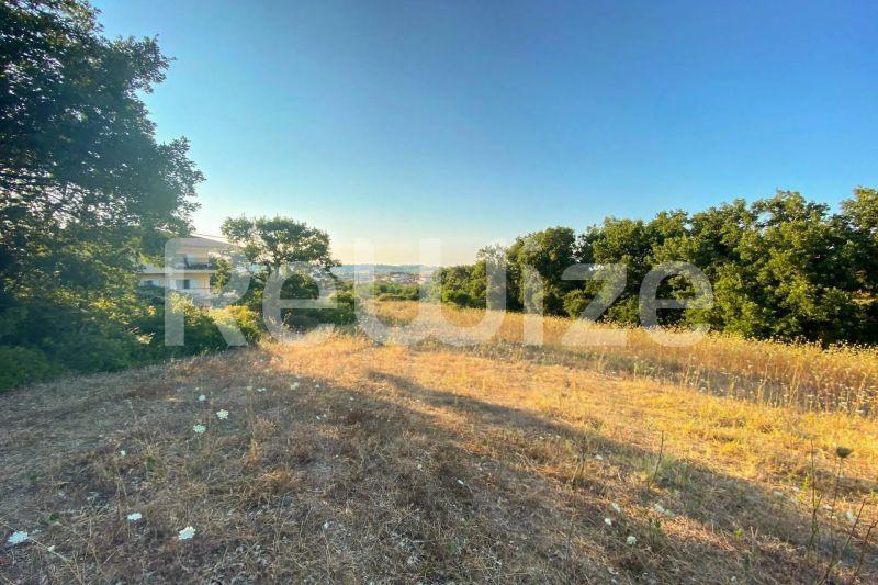 Photo 1,Εξωτερική,ΠΏΛΗΣΗ,Γη,Αγροτεμάχιο,6160τ.μ,€100,000,Κασσάνδρεια