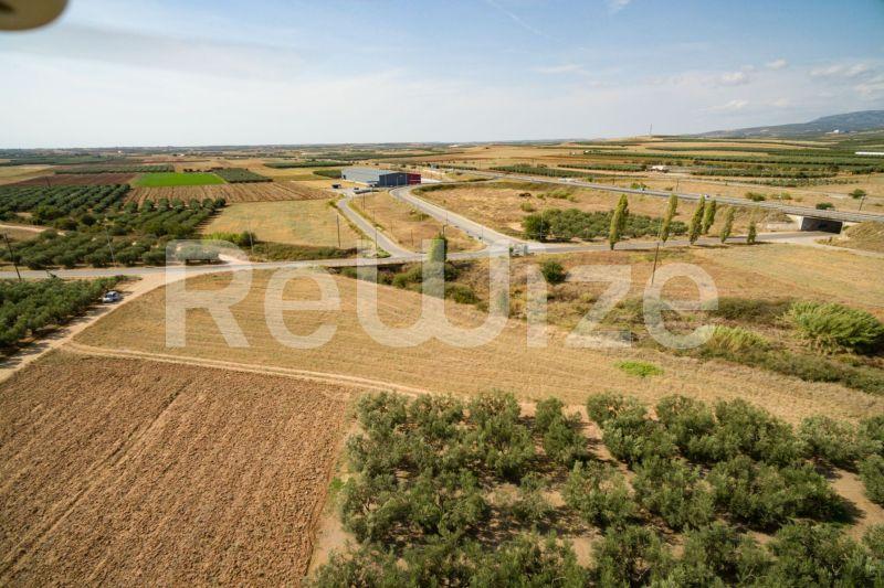 Photo 4,Εξωτερική,ΠΏΛΗΣΗ,Γη,Αγροτεμάχιο,3500τ.μ,€170,000,Παραλία Νέας Τριγλίας