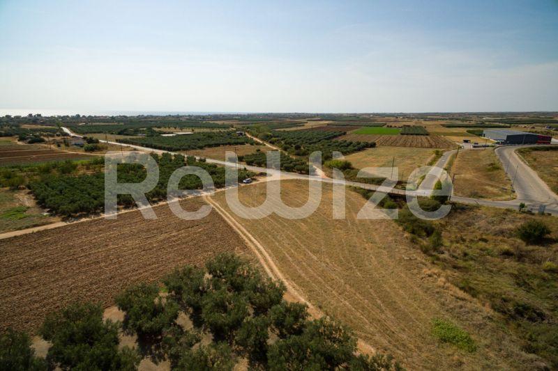 Photo 5,Εξωτερική,ΠΏΛΗΣΗ,Γη,Αγροτεμάχιο,3500τ.μ,€170,000,Παραλία Νέας Τριγλίας