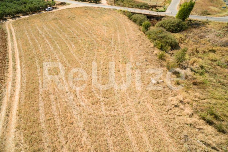 Photo 7,Εξωτερική,ΠΏΛΗΣΗ,Γη,Αγροτεμάχιο,3500τ.μ,€170,000,Παραλία Νέας Τριγλίας