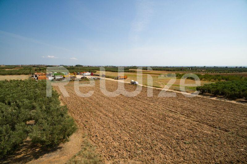 Photo 9,Εξωτερική,ΠΏΛΗΣΗ,Γη,Αγροτεμάχιο,3500τ.μ,€170,000,Παραλία Νέας Τριγλίας