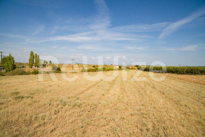 Photo 15,Εξωτερική,ΠΏΛΗΣΗ,Γη,Αγροτεμάχιο,3500τ.μ,€170,000,Παραλία Νέας Τριγλίας