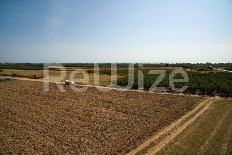 Photo 10,Εξωτερική,ΠΏΛΗΣΗ,Γη,Αγροτεμάχιο,3500τ.μ,€170,000,Παραλία Νέας Τριγλίας