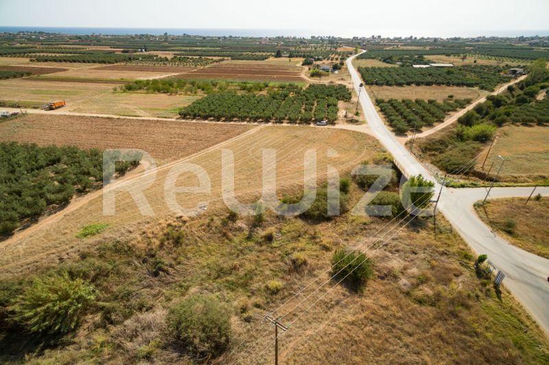 Photo 12,Εξωτερική,ΠΏΛΗΣΗ,Γη,Αγροτεμάχιο,3500τ.μ,€170,000,Παραλία Νέας Τριγλίας