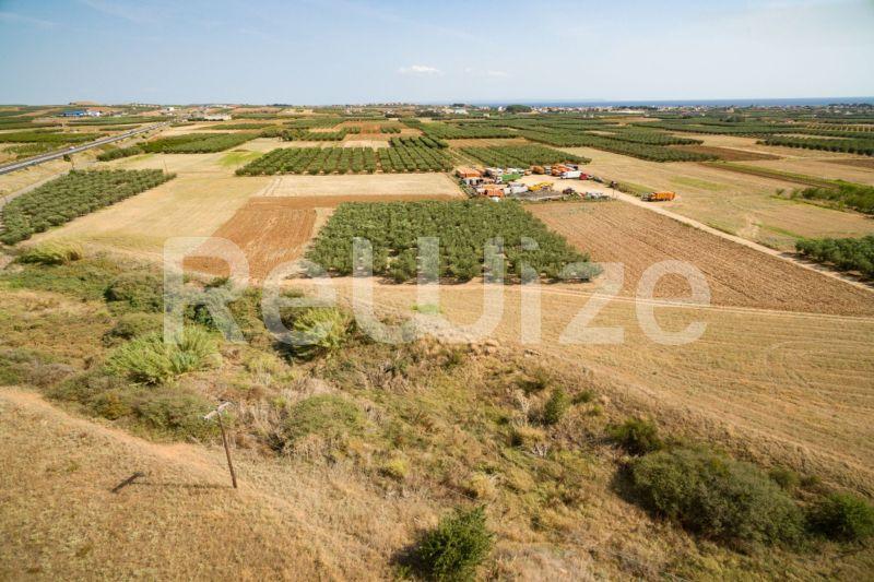 Photo 13,Εξωτερική,ΠΏΛΗΣΗ,Γη,Αγροτεμάχιο,3500τ.μ,€170,000,Παραλία Νέας Τριγλίας