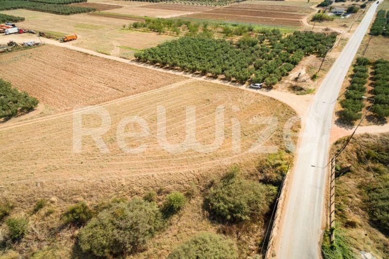 Photo 25,Εξωτερική,ΠΏΛΗΣΗ,Γη,Αγροτεμάχιο,3500τ.μ,€170,000,Παραλία Νέας Τριγλίας