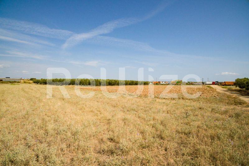 Photo 19,Εξωτερική,ΠΏΛΗΣΗ,Γη,Αγροτεμάχιο,3500τ.μ,€170,000,Παραλία Νέας Τριγλίας