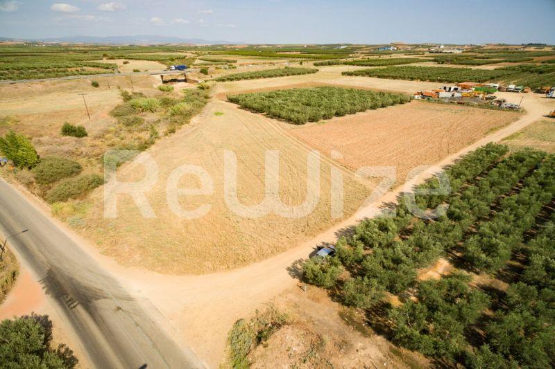 Photo 16,Εξωτερική,ΠΏΛΗΣΗ,Γη,Αγροτεμάχιο,3500τ.μ,€170,000,Παραλία Νέας Τριγλίας