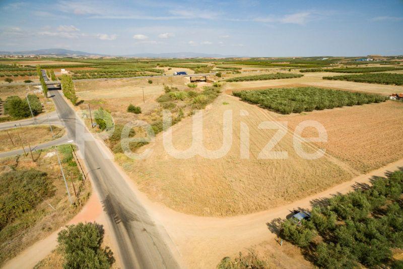 Photo 2,Εξωτερική,ΠΏΛΗΣΗ,Γη,Αγροτεμάχιο,3500τ.μ,€170,000,Παραλία Νέας Τριγλίας