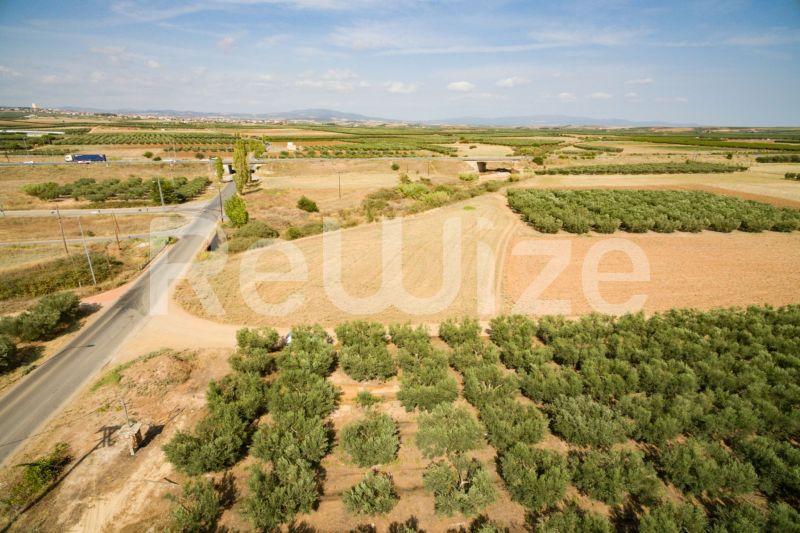 Photo 18,Εξωτερική,ΠΏΛΗΣΗ,Γη,Αγροτεμάχιο,3500τ.μ,€170,000,Παραλία Νέας Τριγλίας