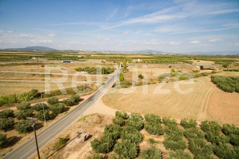 Photo 1,Εξωτερική,ΠΏΛΗΣΗ,Γη,Αγροτεμάχιο,3500τ.μ,€170,000,Παραλία Νέας Τριγλίας