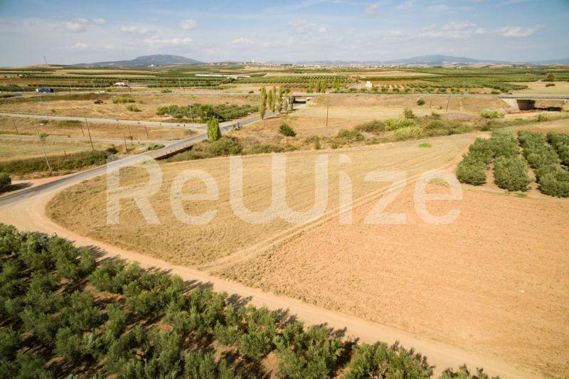 Photo 21,Εξωτερική,ΠΏΛΗΣΗ,Γη,Αγροτεμάχιο,3500τ.μ,€170,000,Παραλία Νέας Τριγλίας