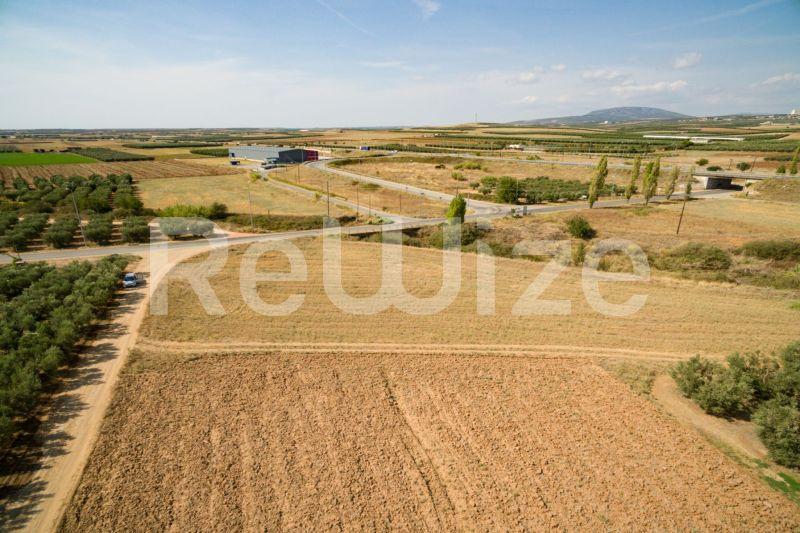 Photo 20,Εξωτερική,ΠΏΛΗΣΗ,Γη,Αγροτεμάχιο,3500τ.μ,€170,000,Παραλία Νέας Τριγλίας