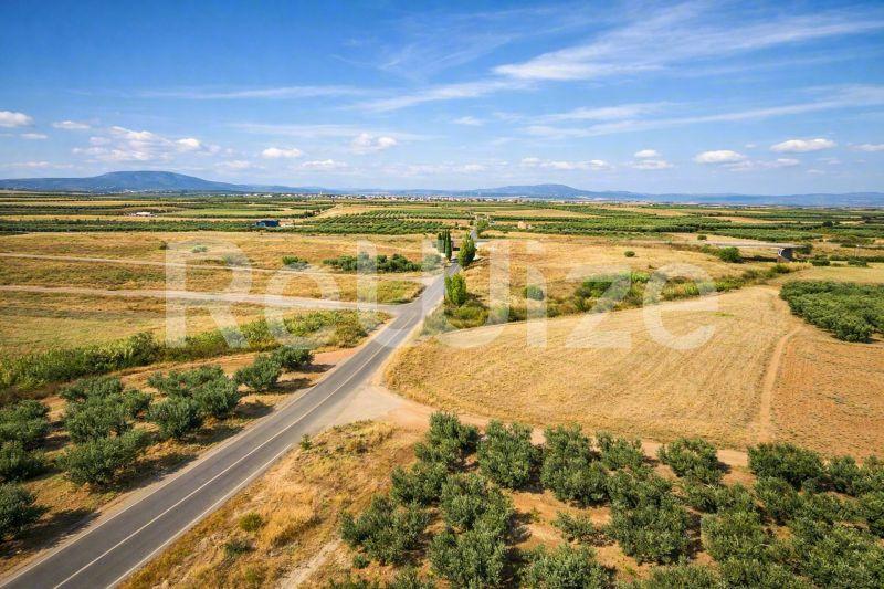 Αγροτεμάχιο 3500 τ.μ. στη Νέα Προποντίδα, φωτογραφία 2