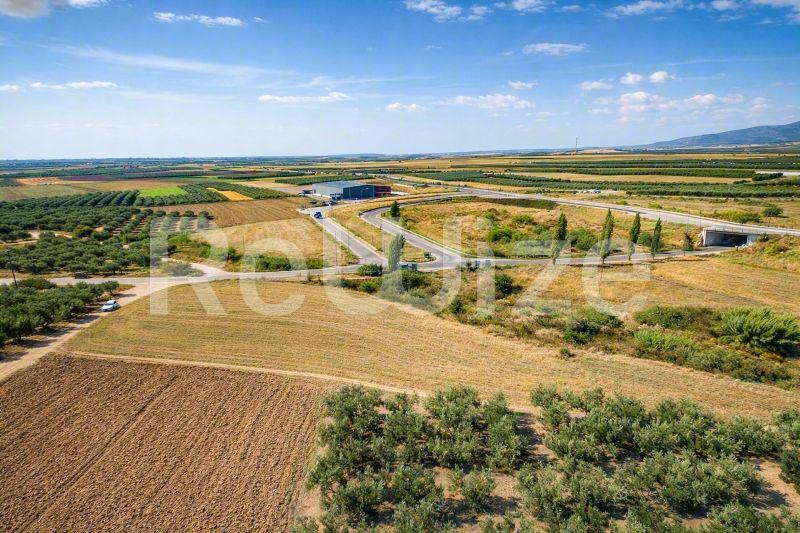 Αγροτεμάχιο 3500 τ.μ. στη Νέα Προποντίδα, φωτογραφία 9