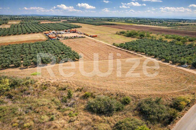Αγροτεμάχιο 3500 τ.μ. στη Νέα Προποντίδα, φωτογραφία 21