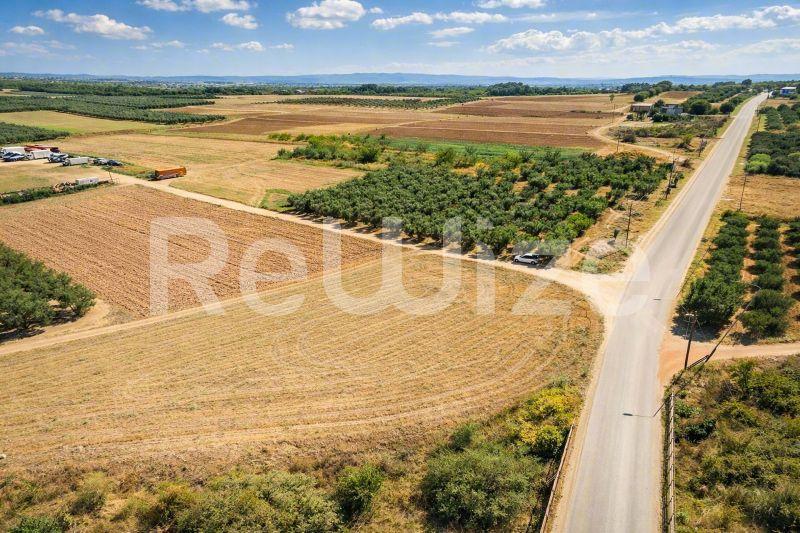 Αγροτεμάχιο 3500 τ.μ. στη Νέα Προποντίδα, φωτογραφία 23