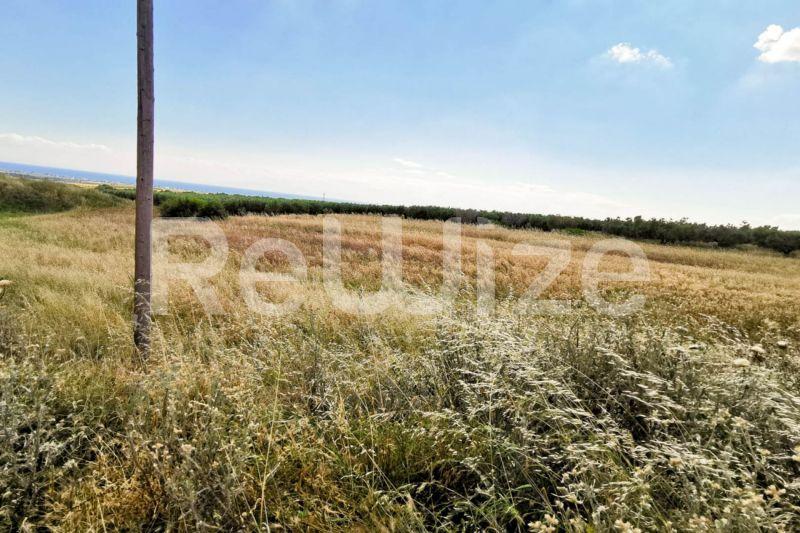 Photo 3,Εξωτερική,ΠΏΛΗΣΗ,Γη,Αγροτεμάχιο,8750τ.μ,€70,000,Νέα Τρίγλια