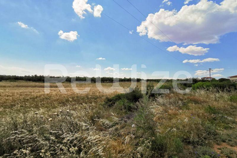 Photo 6,Εξωτερική,ΠΏΛΗΣΗ,Γη,Αγροτεμάχιο,8750τ.μ,€70,000,Νέα Τρίγλια