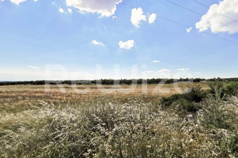 Photo 1,Εξωτερική,ΠΏΛΗΣΗ,Γη,Αγροτεμάχιο,8750τ.μ,€70,000,Νέα Τρίγλια