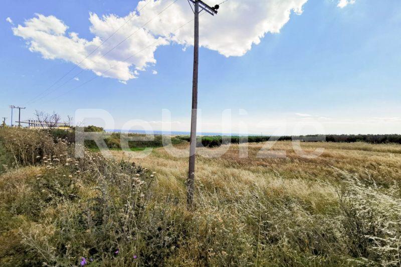 Photo 7,Εξωτερική,ΠΏΛΗΣΗ,Γη,Αγροτεμάχιο,8750τ.μ,€70,000,Νέα Τρίγλια