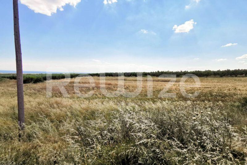 Photo 5,Εξωτερική,ΠΏΛΗΣΗ,Γη,Αγροτεμάχιο,8750τ.μ,€70,000,Νέα Τρίγλια