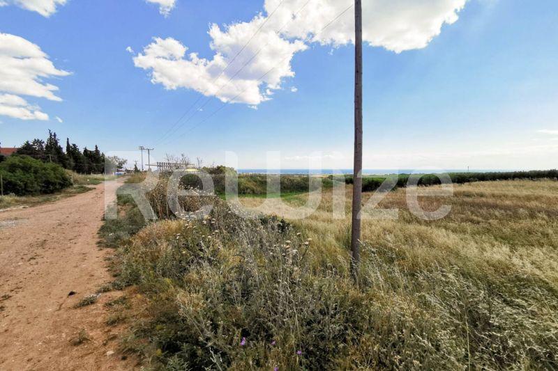 Photo 4,Εξωτερική,ΠΏΛΗΣΗ,Γη,Αγροτεμάχιο,8750τ.μ,€70,000,Νέα Τρίγλια
