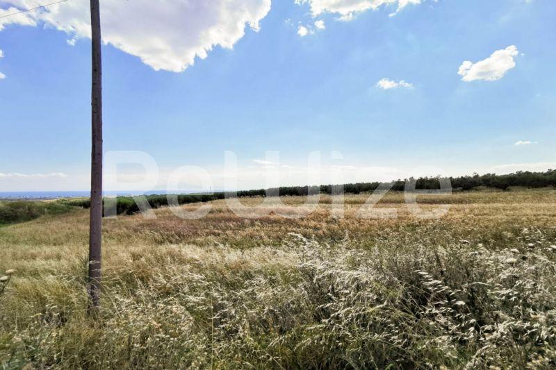 Photo 2,Εξωτερική,ΠΏΛΗΣΗ,Γη,Αγροτεμάχιο,8750τ.μ,€70,000,Νέα Τρίγλια