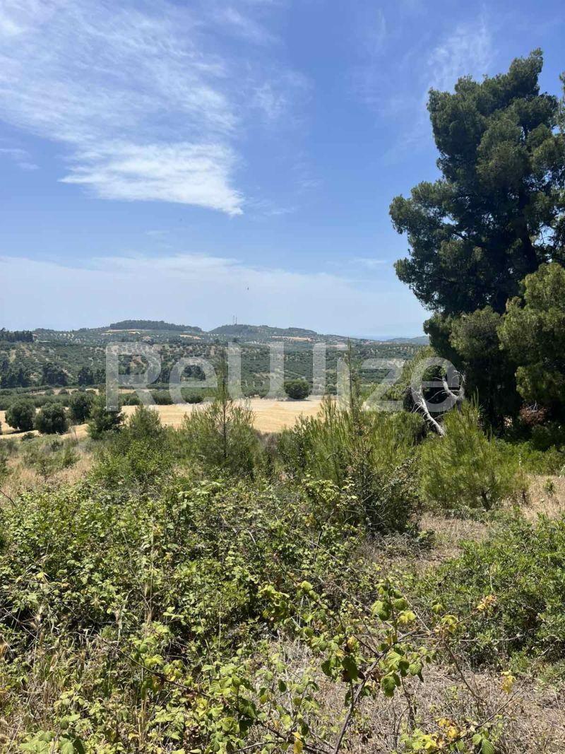 Photo 7,,ΠΏΛΗΣΗ,Γη,Αγροτεμάχιο,9650τ.μ,€120,000,Καλάνδρα