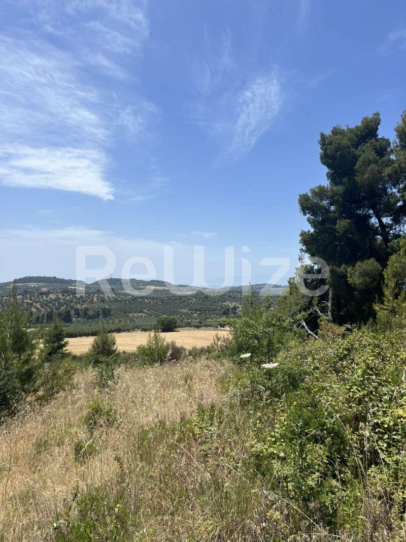 Photo 8,,ΠΏΛΗΣΗ,Γη,Αγροτεμάχιο,9650τ.μ,€120,000,Καλάνδρα