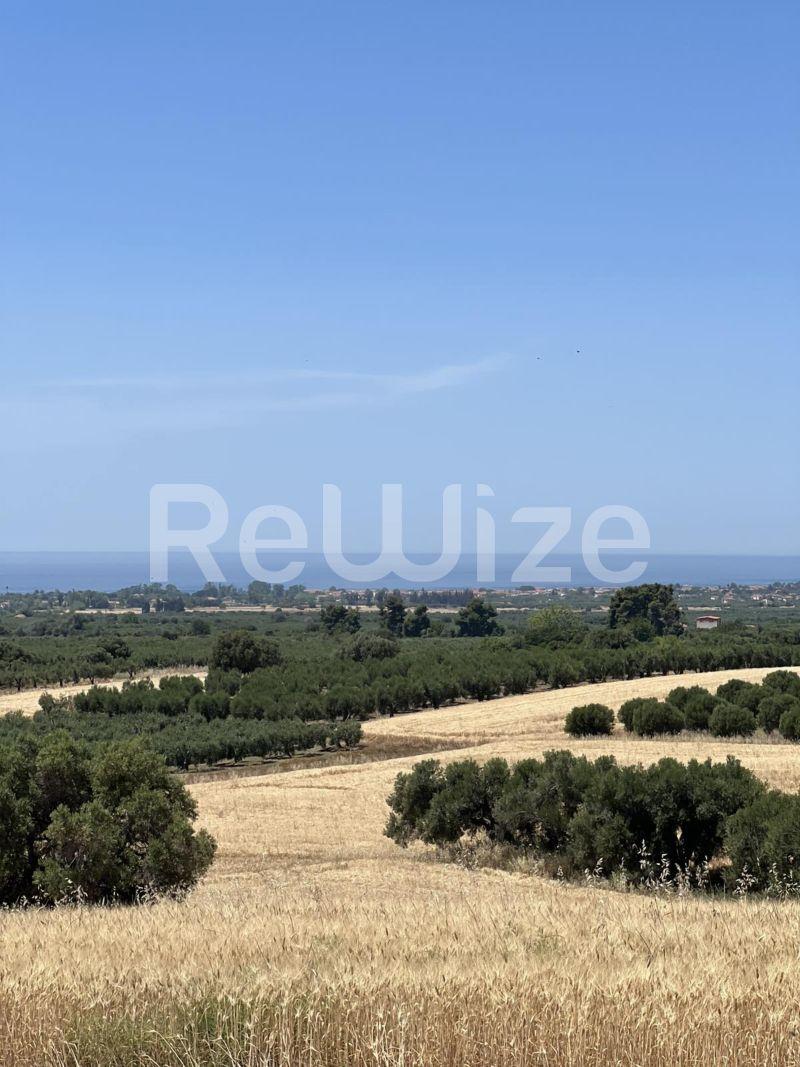 Photo 5,,ΠΏΛΗΣΗ,Γη,Αγροτεμάχιο,9650τ.μ,€120,000,Καλάνδρα