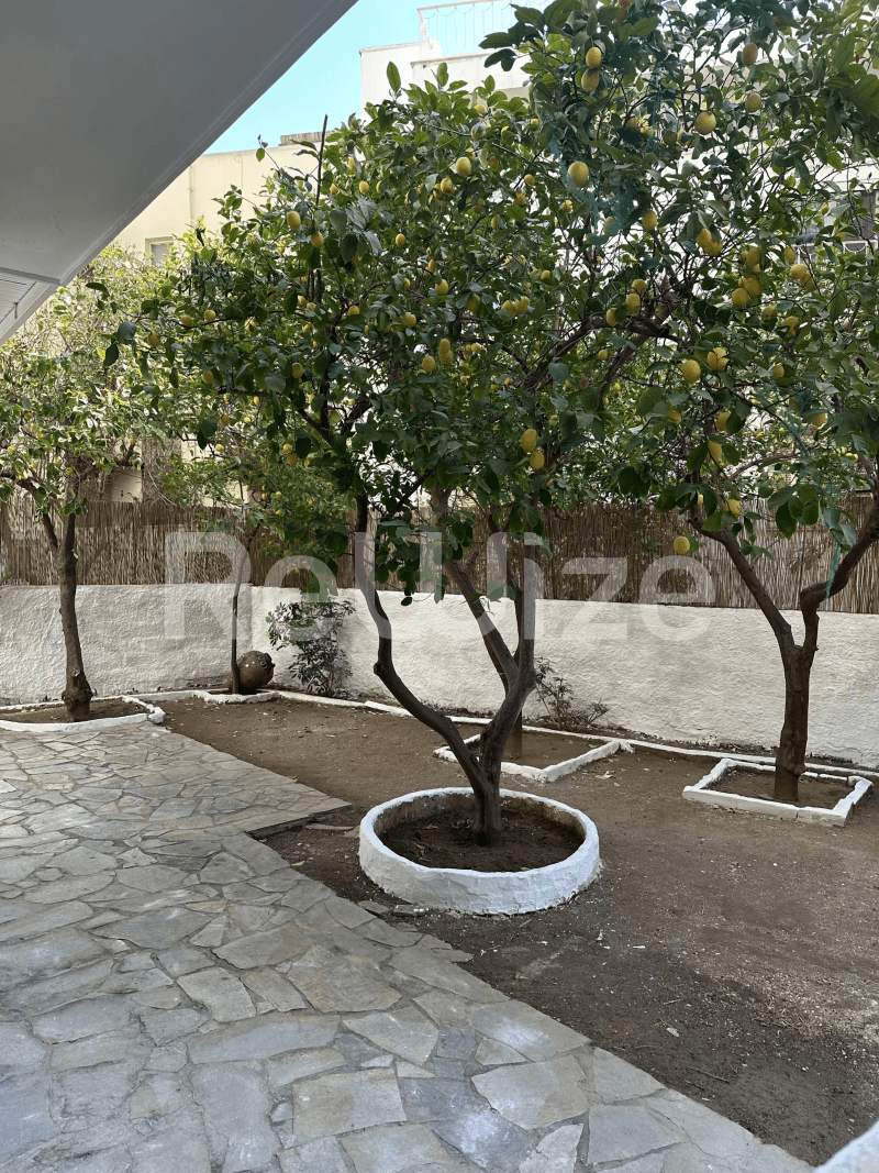 Photo 9,Κήπος,ΕΝΟΙΚΊΑΣΗ,Κατοικία,Διαμέρισμα,98τ.μ,€700,Νέα Σμύρνη