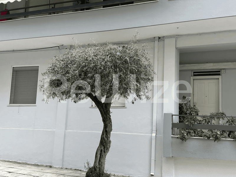 Photo 5,Εξωτερική,ΕΝΟΙΚΊΑΣΗ,Κατοικία,Διαμέρισμα,98τ.μ,€700,Νέα Σμύρνη