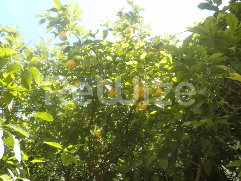 Photo 6,Διάδρομος,ΕΝΟΙΚΊΑΣΗ,Κατοικία,Διαμέρισμα,98τ.μ,€700,Νέα Σμύρνη