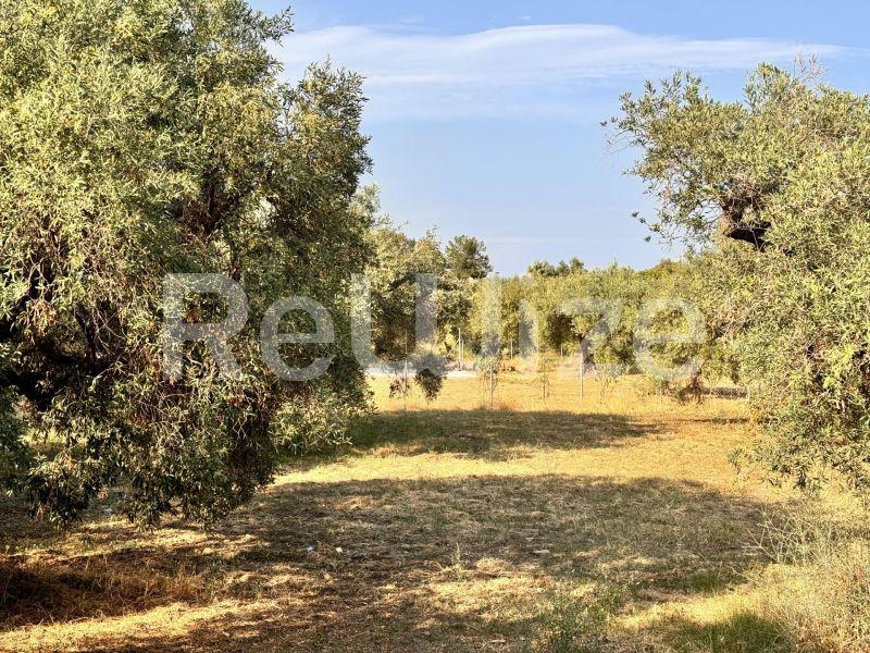 Photo 3,Εξωτερική,ΠΏΛΗΣΗ,Γη,Αγροτεμάχιο,1550τ.μ,€140,000,Ακτή Σαλονικιού