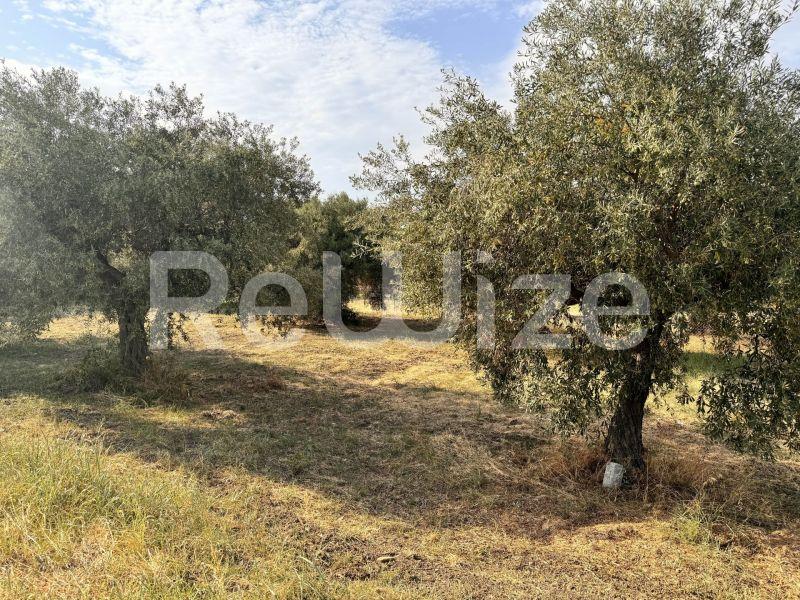 Photo 9,Εξωτερική,ΠΏΛΗΣΗ,Γη,Αγροτεμάχιο,1550τ.μ,€140,000,Ακτή Σαλονικιού